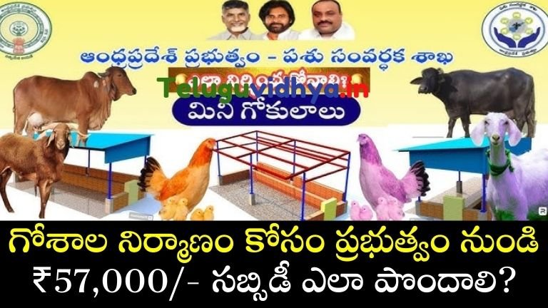 subsidy from the government